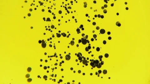 Abstract Black Paint Bubbles In Yellow Water Video stock 111531920