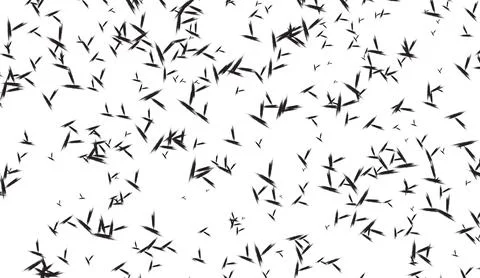 Abstract black seed pattern on white background for design and texture use with イラスト素材