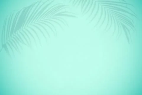 Abstract black shadow of palm leaf on green wall background for pattern desig Illustrazione stock