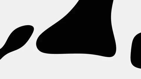 Abstract Black Shapes in Horizontal White Stripes with Cinematic Motion 스톡 동영상 341685363
