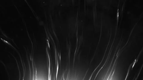Abstract black smoke waves minimal background. Monochrome smooth motion des.. Stock Footage 317451043