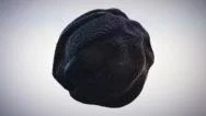 Abstract Black Sponge Organic Sphere Object Virus Stock Footage