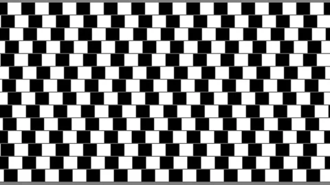 Abstract Black White Checkerboard Pattern Background for Motion Graphics Loop Stock Footage 343633406