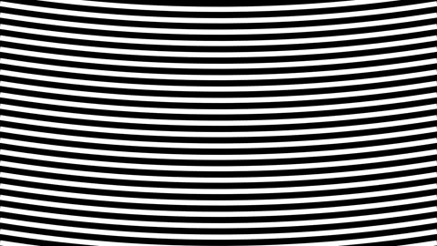 Abstract black white horizontal stripe pattern background for modern design.. Stock Footage 343633531