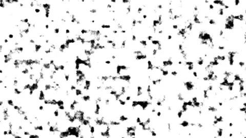Abstract Black White Noise Static Grunge Texture Background Loop. Stock Footage 340036458