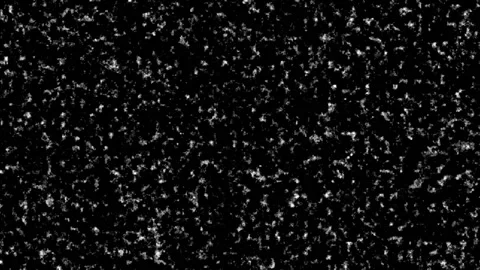 Abstract Black White Noise Texture Background Dynamic Grainy Movement Subtl.. 스톡 동영상 337958862