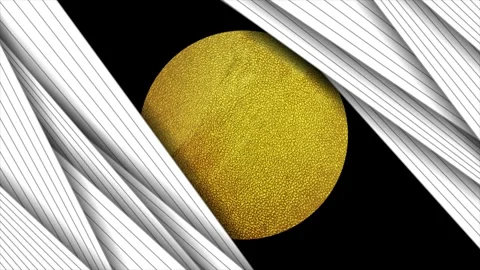 Abstract black white striped motion background with golden grunge grainy circle Stock Footage 312591644
