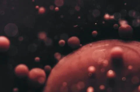 Abstract blood cell creative concept dark background Stock Photos