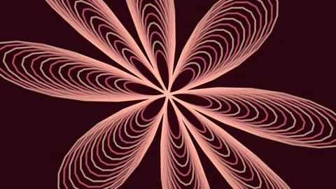 Abstract blooming floral pattern design, symmetrical radial growth illustrati Stock Footage 343631683