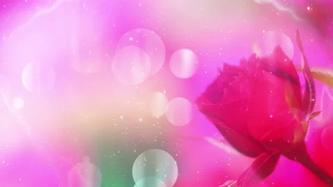 Abstract Blossoms Background Loop Stock-Footage 135514346
