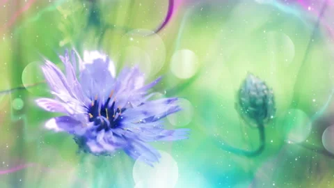 Abstract Blossoms Background Loop Видео 135515021