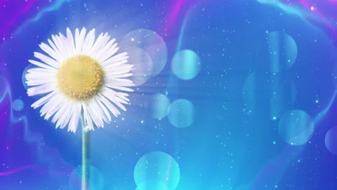 Abstract Blossoms Background Loop Stock-Footage 135515535