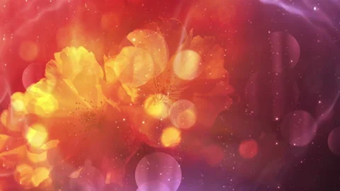 Abstract Blossoms Background Loop Stock Footage 135518262