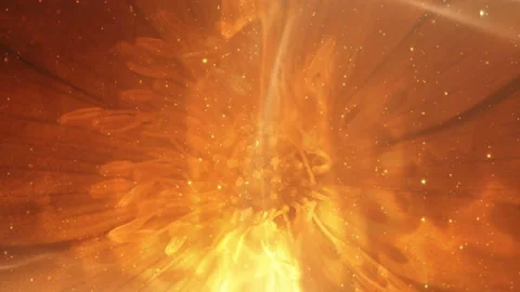 Abstract Blossoms Background Loop Stock-Footage 135518733