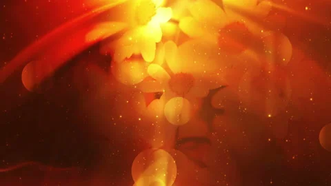 Abstract Blossoms Background Loop Stock Footage 135519538