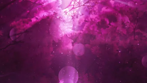 Abstract Blossoms Background Loop Stock Footage 135519919