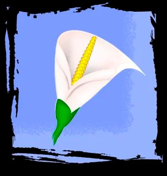 Abstract blue and calla 스톡 일러스트