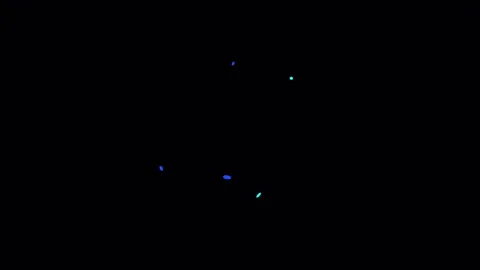 Abstract blue and green particles dance in darkness with subtle motion for .. Video stock 342506996