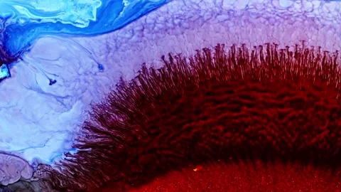 Abstract blue and red ink diffusion in water with a vibrant, organic Stock Footage 265391949