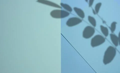 Abstract blue background with geometric planes and shadow from vegetation a.. Stock Photos