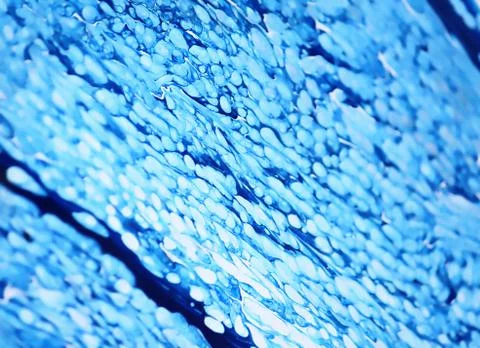Abstract blue background Stock Photos