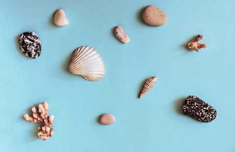 Abstract blue background with sea objects - pebble stones seashells corals Stock Photos