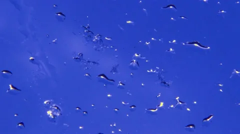 Abstract blue background with small rain drops Stock Footage 45429380