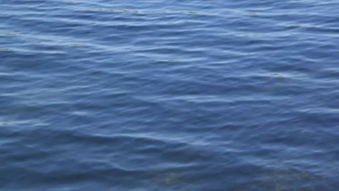 Abstract blue background of surface of river or ocean in calm weather. Stock Footage 252022838