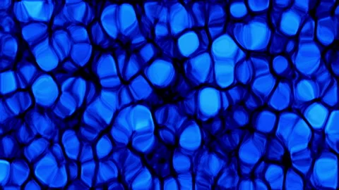 Abstract blue  Biological Cell Structure Microscopic Texture Vídeo Stock 336635174