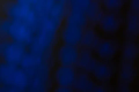 Abstract blue bokeh on black. Backdrop Stock Illustration