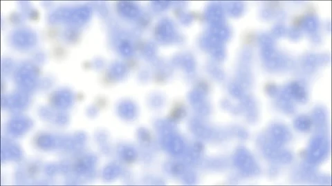 Abstract blue bokeh particle animation with glowing circles on white background Stockbeeldmateriaal 339130530