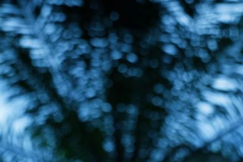 Abstract Blue Bokeh of Trees Creating a Dreamy and Serene Atmosphere Stock Photos