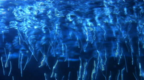 Abstract Blue Bubbling Water Texture Stock Footage 371746