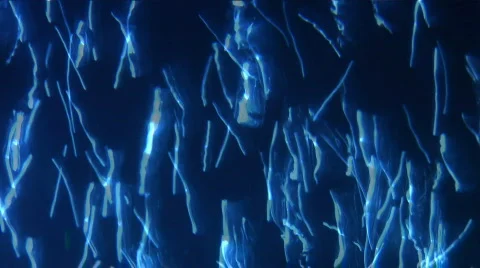 Abstract Blue Bubbling Water Texture Stock Footage 371752