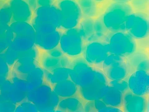 Abstract blue circles on yellow background Illustrazione stock