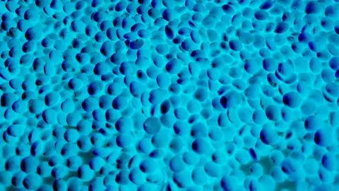 Abstract blue colour Stock Photos