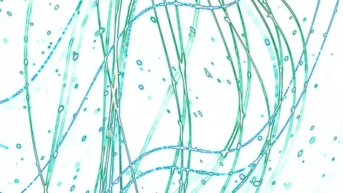 Abstract blue curves background on white Stockbeeldmateriaal 127124805