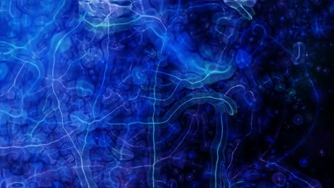 Abstract Blue Energy Flow: Fluid Particle Motion Stock Footage 282478835