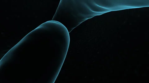 Abstract blue fluid wave on dark background with soft glow, 3D animation Видео 330082966