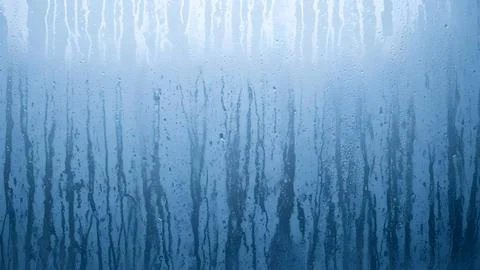 Abstract blue forest background with vertical trees and soft light from abo.. Fotos de archivo