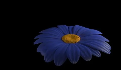 Abstract of blue gerbera flower 3d render Stock Illustration