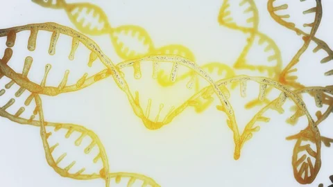 Abstract blue glittering DNA double helix with depth of field. Animation of DNA 動画素材 108671187