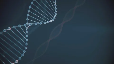 Abstract blue glittering DNA double helix with depth of field. Animation of DNA Stock Footage 108909288