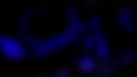Abstract Blue Glowing Light Motion on Black Background Stock Footage 343548906