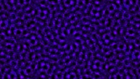 Abstract Blue Hexagonal Pattern Background Stock Footage 331357217