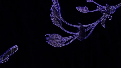 Abstract Blue Leaf on a Black Background Stock Footage 129290275