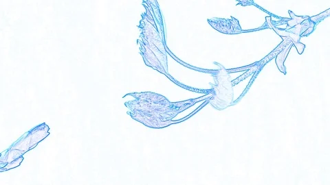 Abstract Blue Leaf on a White Background Stock Footage 129290304
