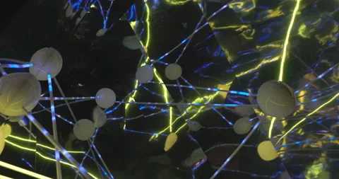 Abstract blue light collections with yellow flash - interconnected concept Video stock 219649692