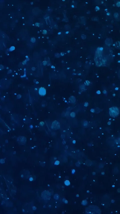 Abstract blue liquid background with floating glowing particles moving in dark Stock-Footage 347692211