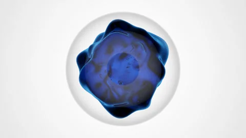 Abstract Blue Molecule with Air Bubbles Inside Transparent Sphere on a white 動画素材 280958226